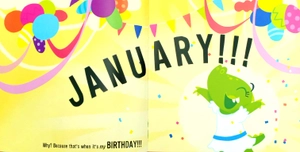 i'm a january birthday girl - Ảnh 4