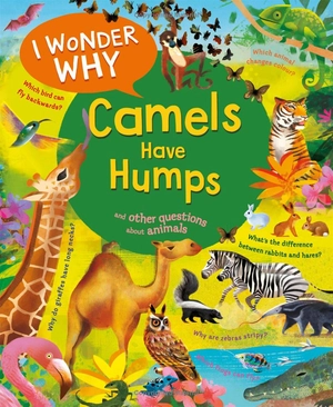 i wonder why camels have humps - Ảnh 2