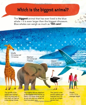 i wonder why camels have humps - Ảnh 6