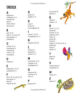 i wonder why camels have humps - Ảnh 7