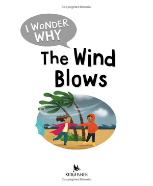 i wonder why the wind blows - Ảnh 3