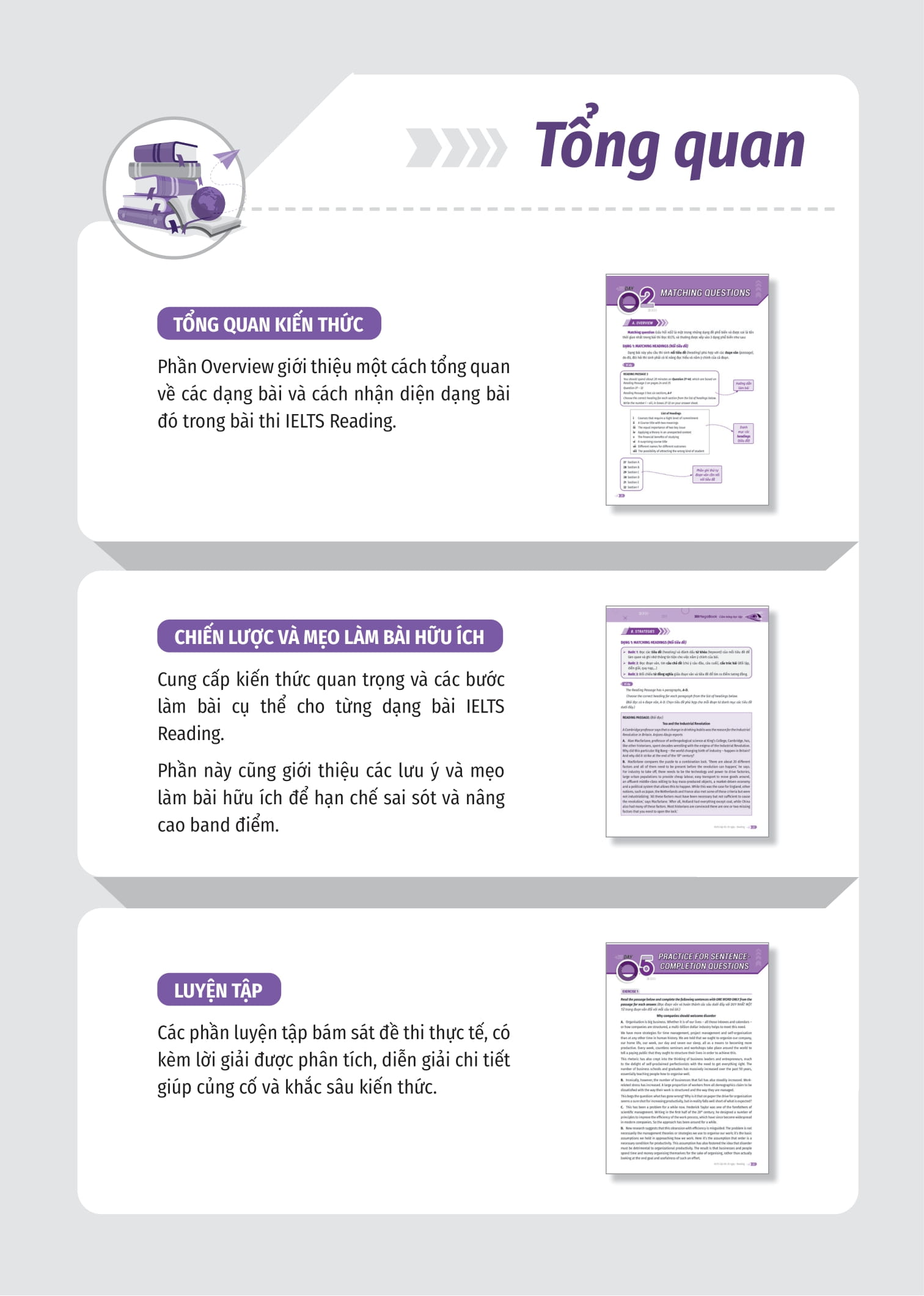 ielts cấp tốc - 20 ngày reading - Ảnh 3