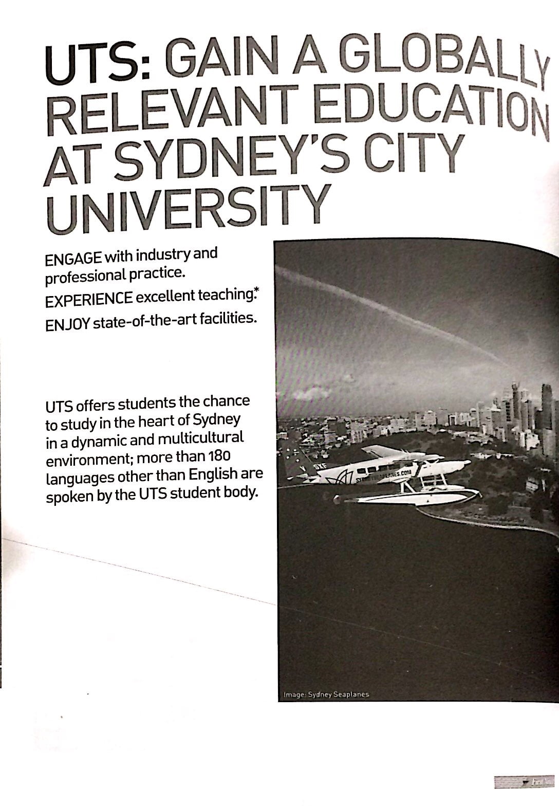 ielts skills reading & writing book two - Ảnh 4