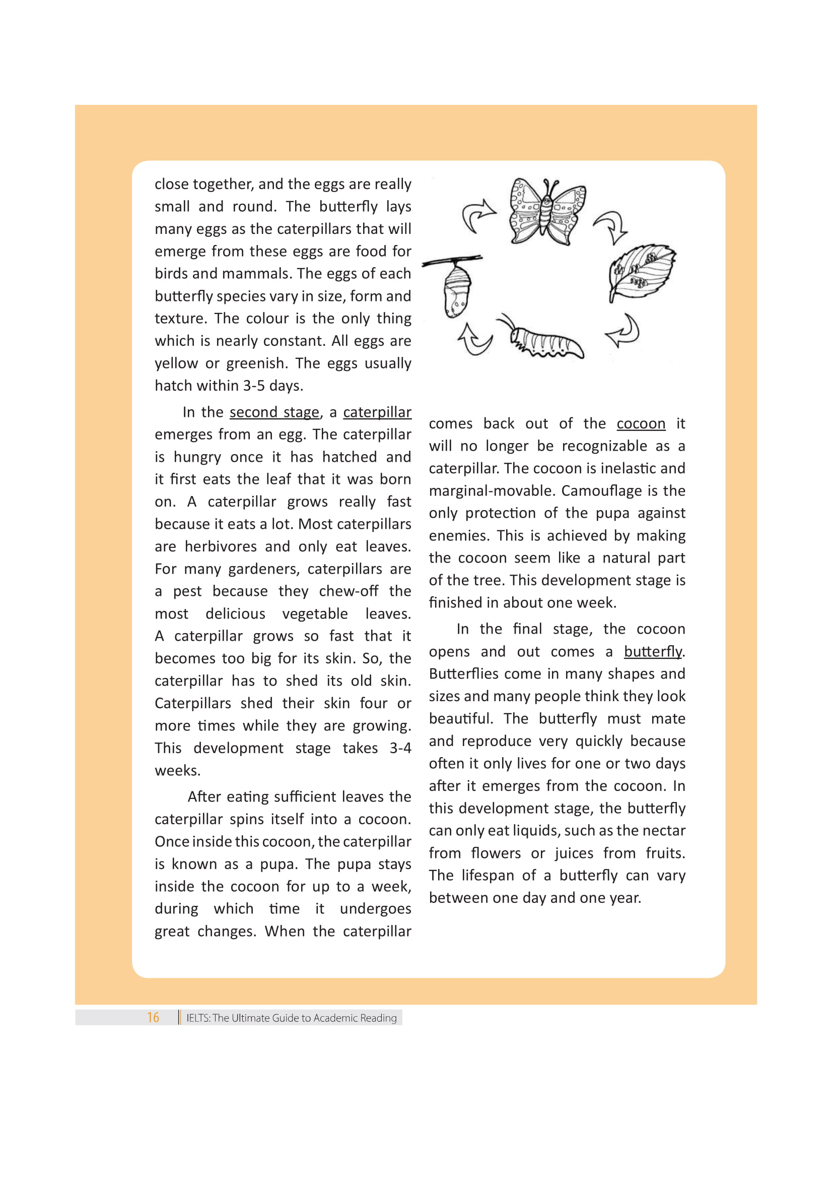 ielts the ultimate guide to academic reading - Ảnh 17