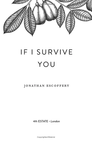 if i survive you - Ảnh 3