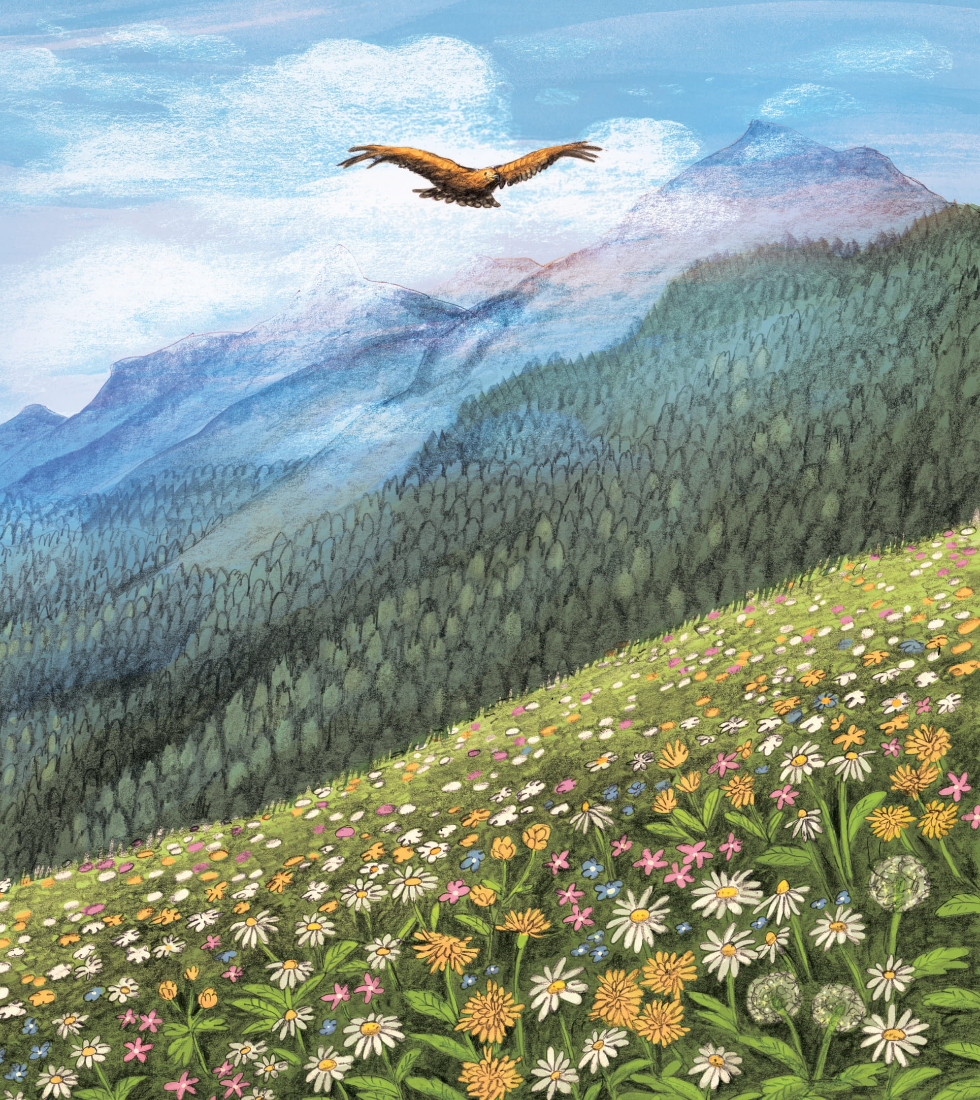 illustrated special edition - heidi - Ảnh 5