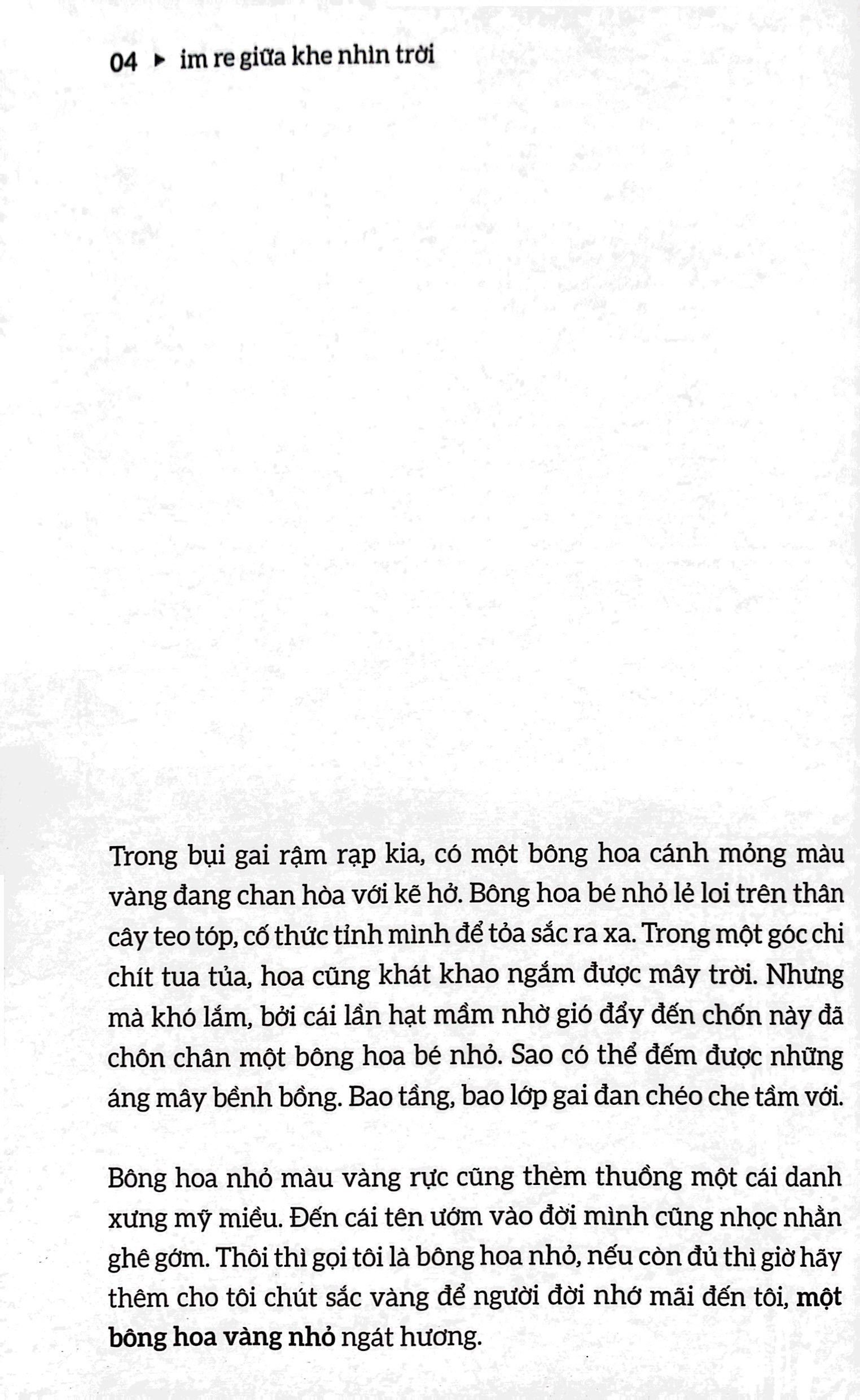 im re giữa khe nhìn đời - Ảnh 4