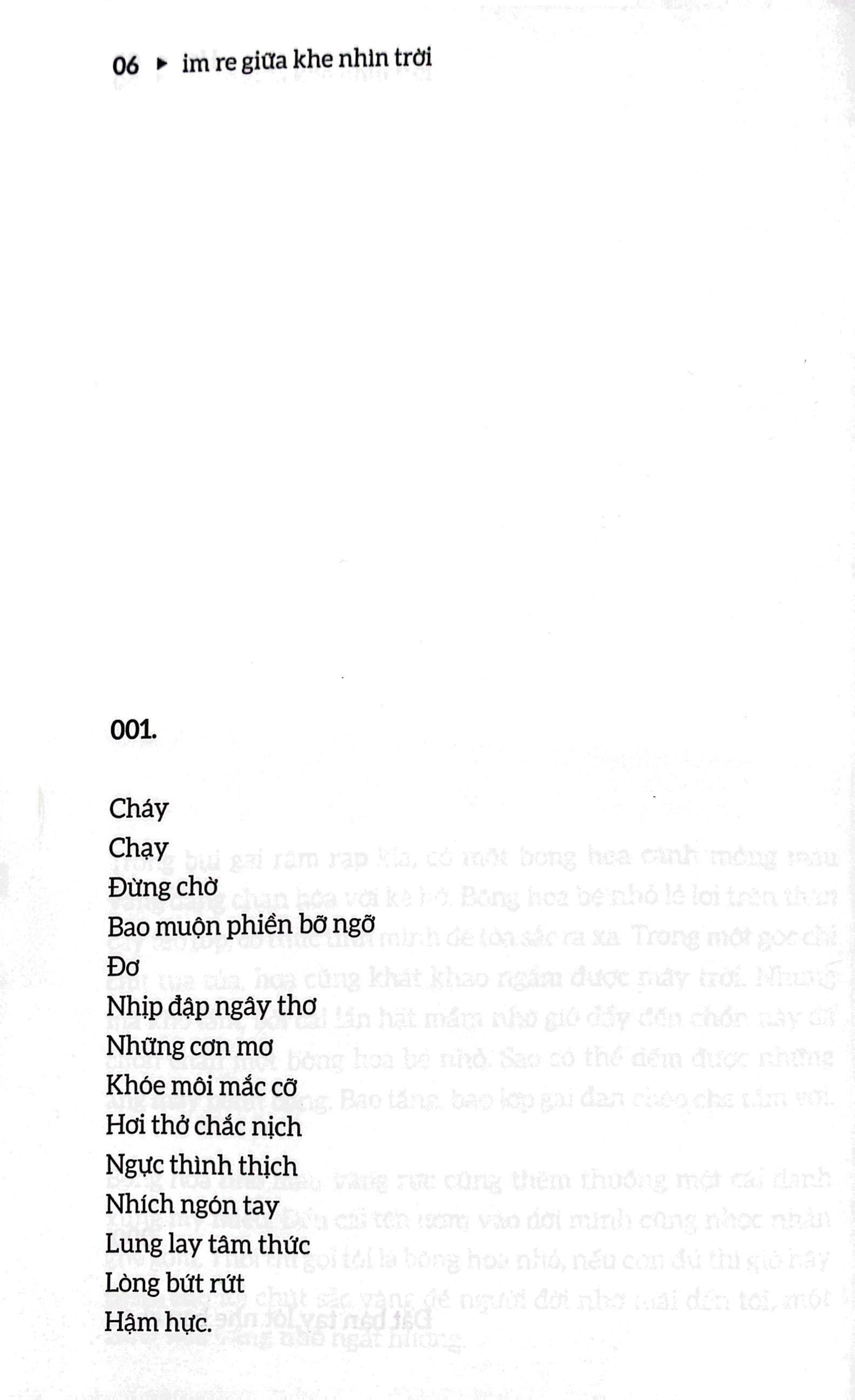 im re giữa khe nhìn đời - Ảnh 6