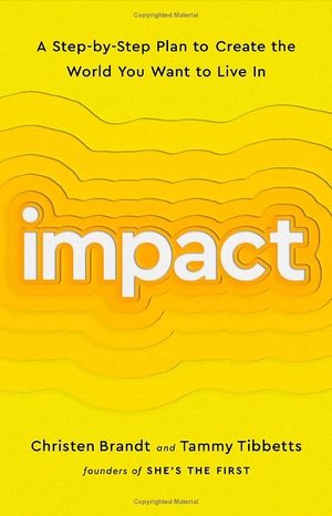 impact: a step-by-step plan to create the world you want to live in - Ảnh 2
