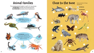 incredible animal activity book - Ảnh 6