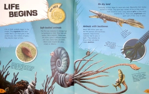 incredible but true: dinosaurs - Ảnh 6