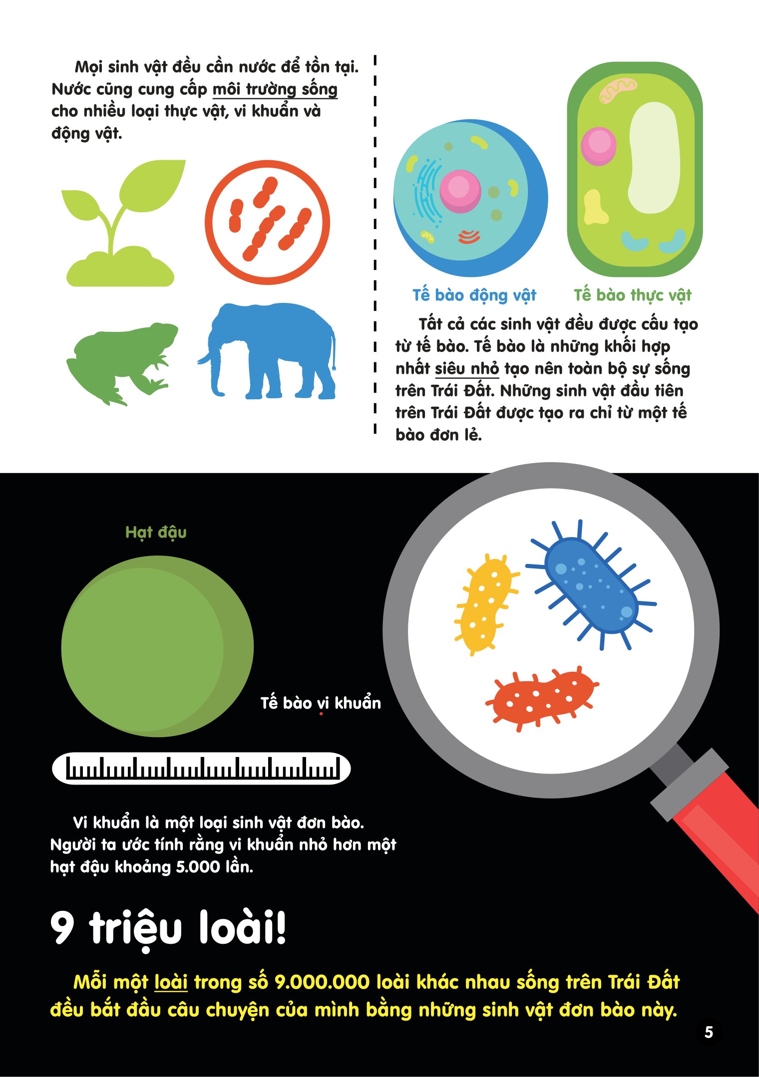infographics - bách khoa tri thức bằng đồ họa cho trẻ em - tiến hóa - Ảnh 6