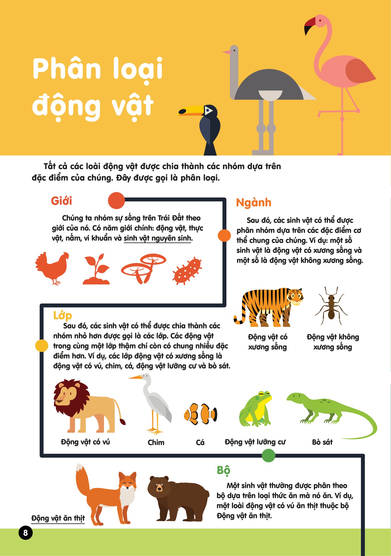 infographics - bách khoa tri thức bằng đồ họa cho trẻ em - tiến hóa - Ảnh 9