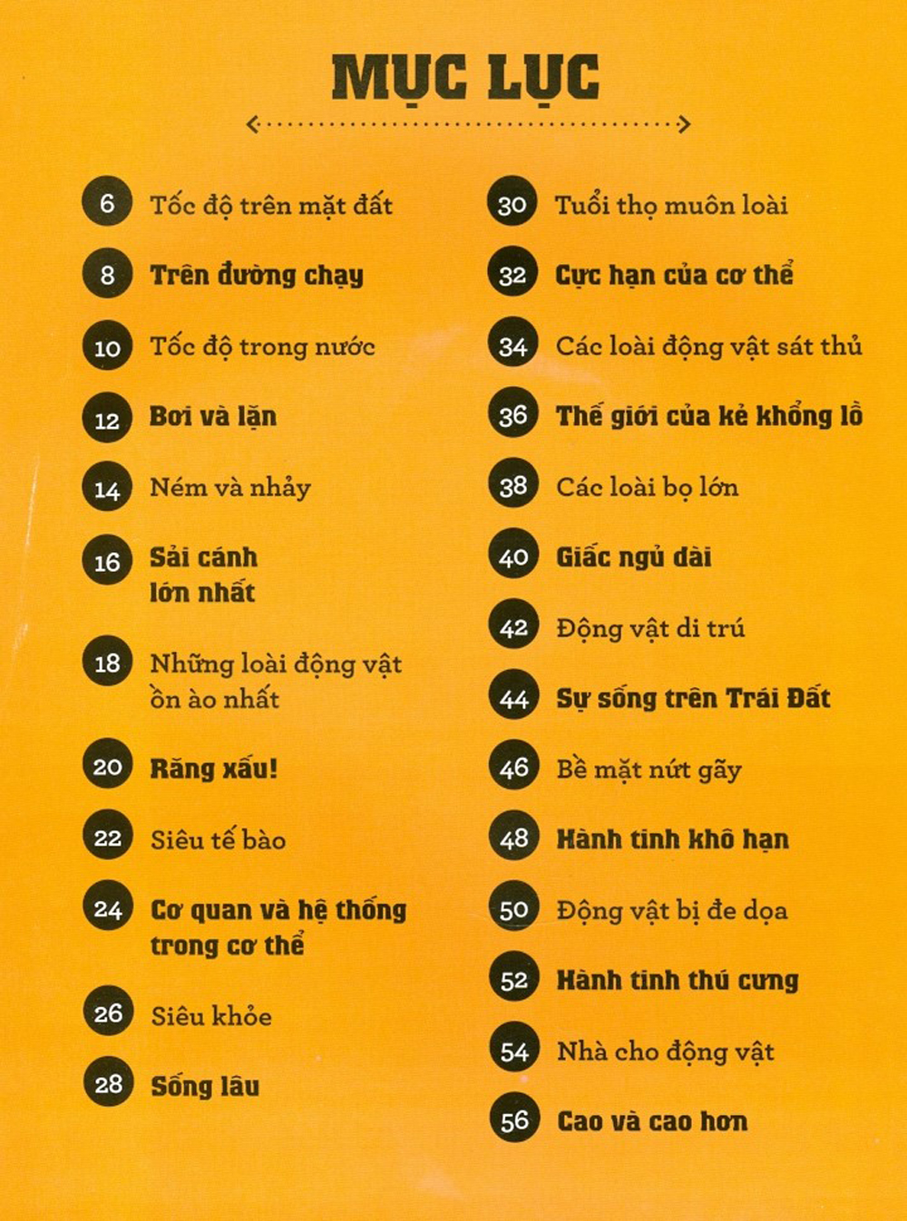 infomania - các kỷ lục, top 10 và những thông tin kỳ thú khác - Ảnh 3