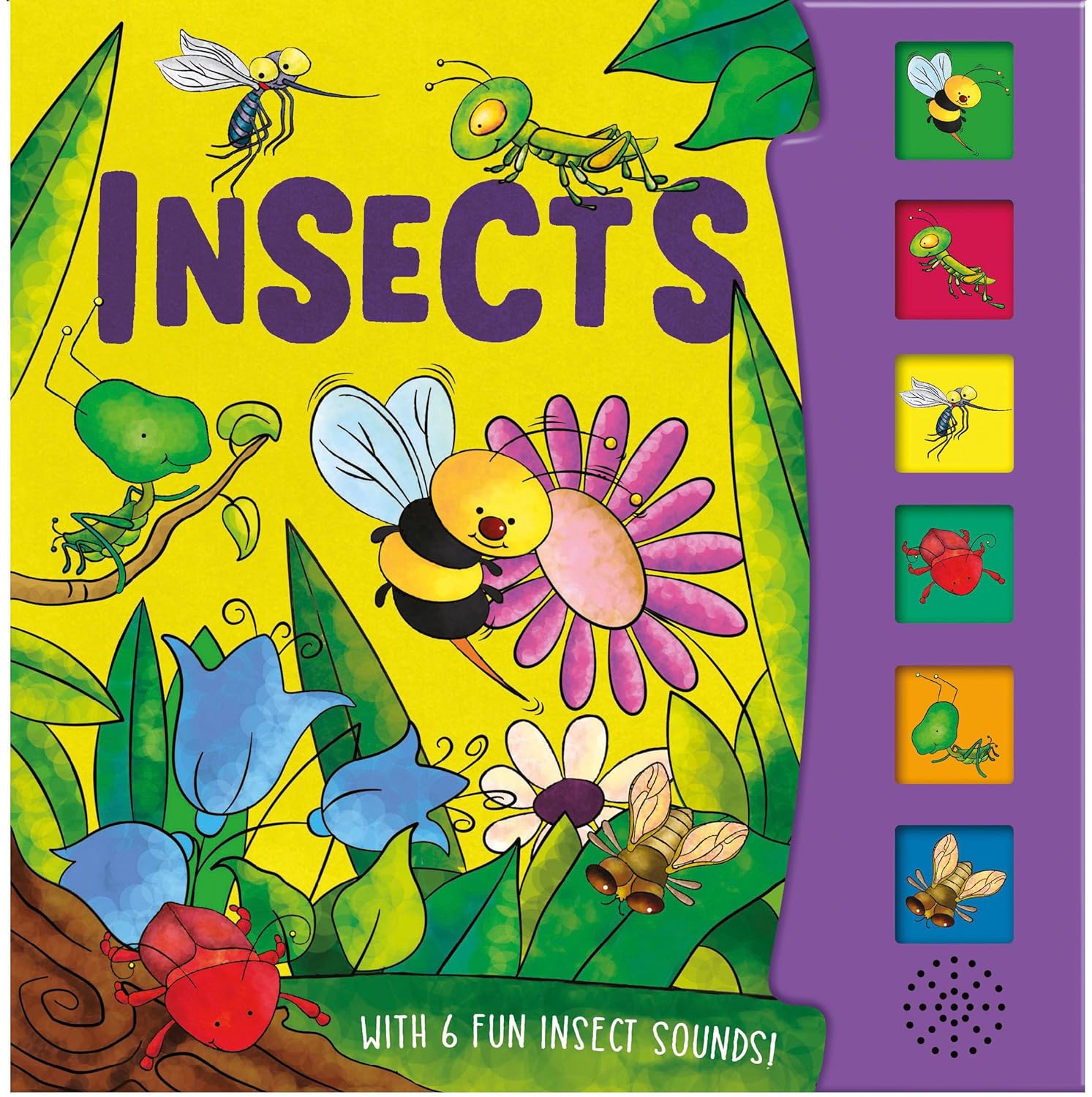 Insects - With 6 Fun Insect Sounds! - Ảnh 2