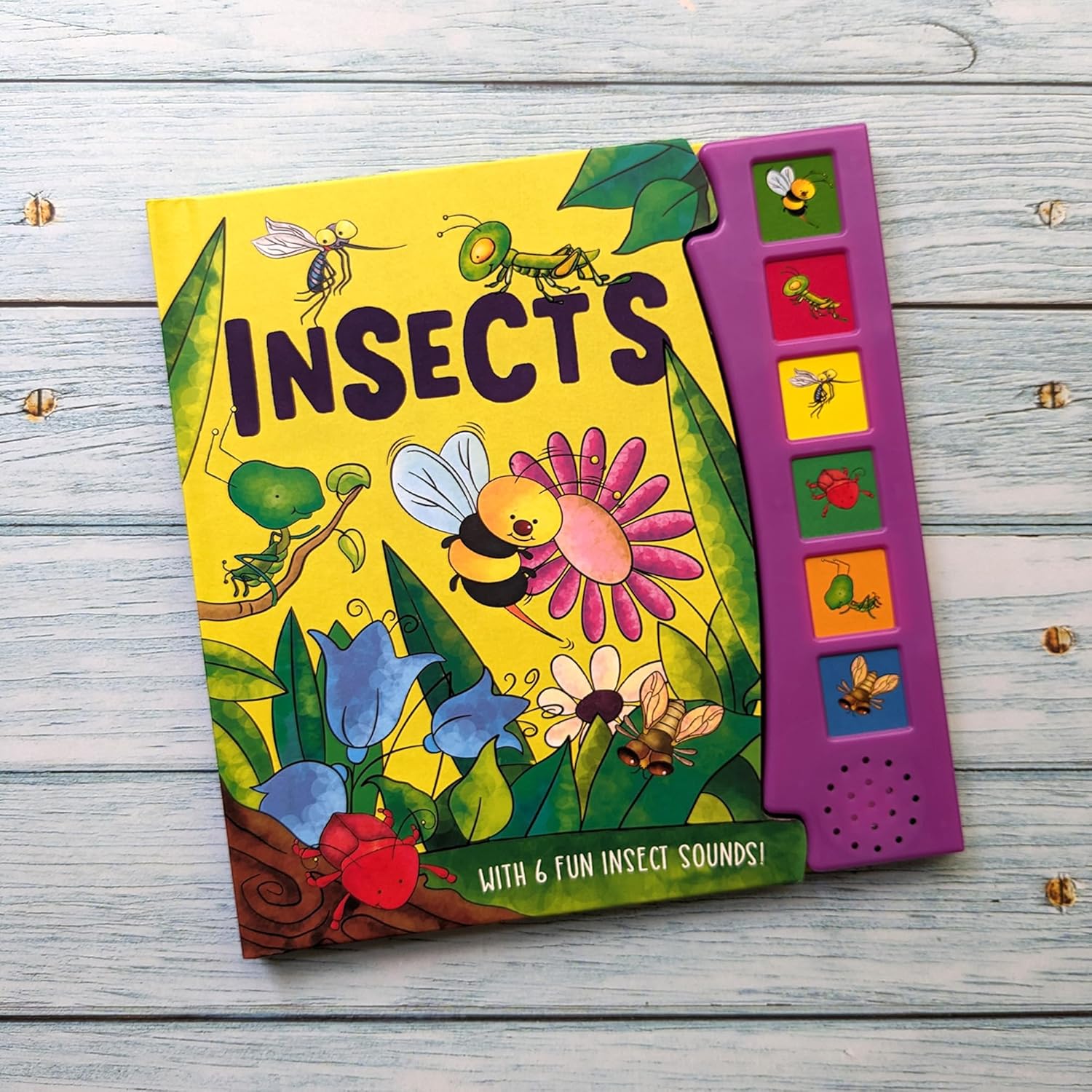 Insects - With 6 Fun Insect Sounds! - Ảnh 3