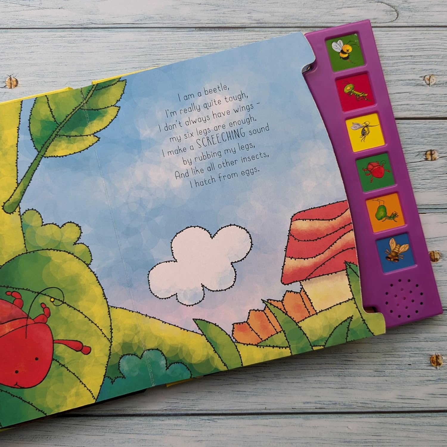 Insects - With 6 Fun Insect Sounds! - Ảnh 5