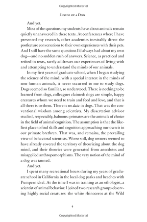 inside of a dog - Ảnh 10