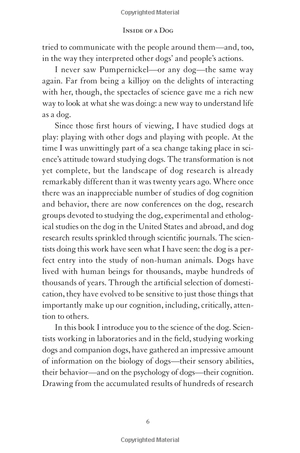 inside of a dog - Ảnh 11