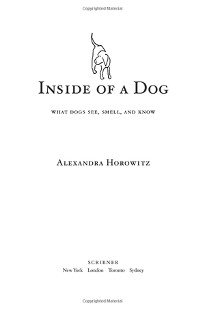 inside of a dog - Ảnh 2