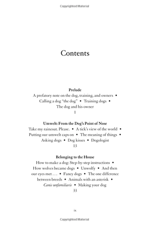 inside of a dog - Ảnh 3