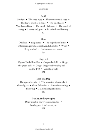 inside of a dog - Ảnh 4