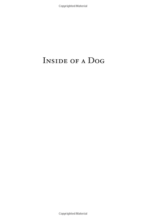 inside of a dog - Ảnh 6