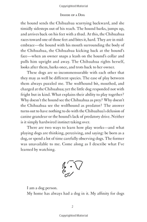 inside of a dog - Ảnh 8