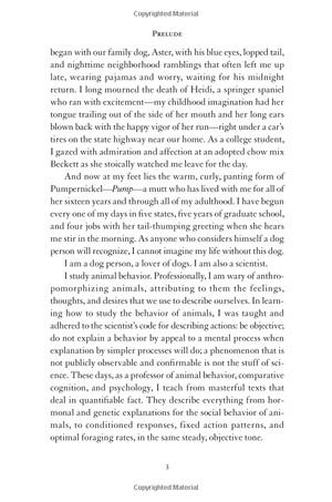 inside of a dog - Ảnh 9