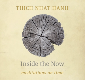 inside the now: meditations on time - Ảnh 2