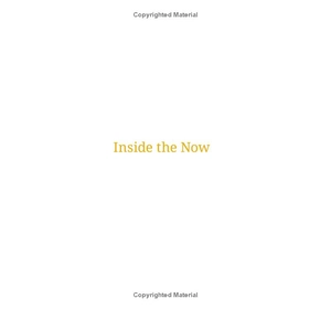 inside the now: meditations on time - Ảnh 3