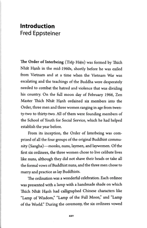 interbeing, 4th edition: the 14 mindfulness trainings of engaged buddhism - Ảnh 4