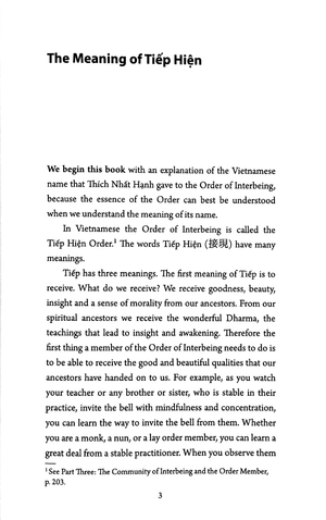 interbeing, 4th edition: the 14 mindfulness trainings of engaged buddhism - Ảnh 5