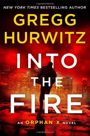 into the fire - Ảnh 2