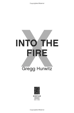 into the fire - Ảnh 4