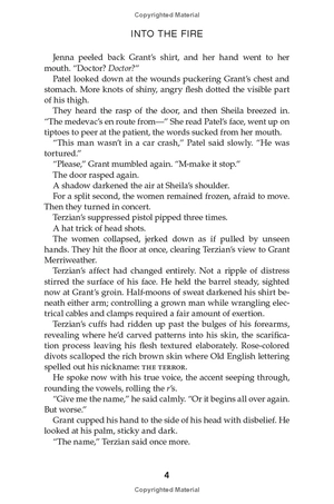 into the fire - Ảnh 9