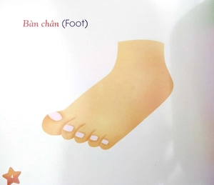 iq - bé thử đếm xem - bồi dưỡng kỹ năng tập đếm và năng lực sắp xếp trình tự của trẻ - Ảnh 6