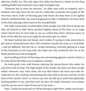 iron flame - the empyrean series - Ảnh 10