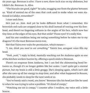 iron flame - the empyrean series - Ảnh 6