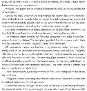 iron flame - the empyrean series - Ảnh 8