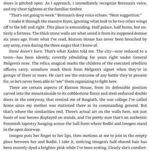 iron flame - the empyrean series - Ảnh 9