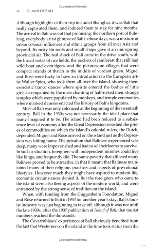 island of bali - Ảnh 7