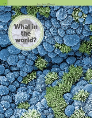 it can't be true! human body! : 1,000 amazing facts about you - Ảnh 11