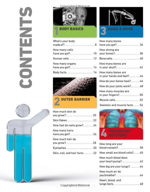 it can't be true! human body! : 1,000 amazing facts about you - Ảnh 3