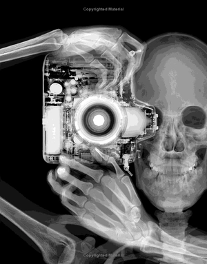 it can't be true! human body! : 1,000 amazing facts about you - Ảnh 5