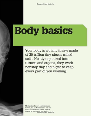 it can't be true! human body! : 1,000 amazing facts about you - Ảnh 6
