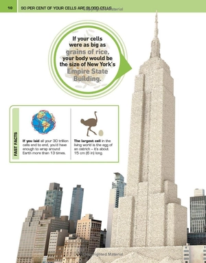 it can't be true! human body! : 1,000 amazing facts about you - Ảnh 9