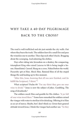 it is finished: a 40-day pilgrimage back to the cross - Ảnh 11