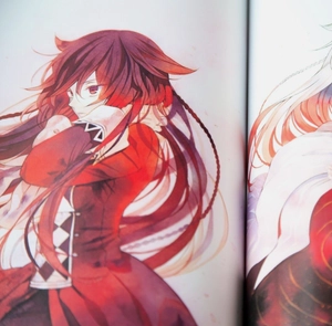 jun mochizuki 2nd art book pandora hearts [japanese edition] - Ảnh 7