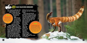 jurassic smarts - Ảnh 4